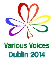 VV Dublin 2014 logo